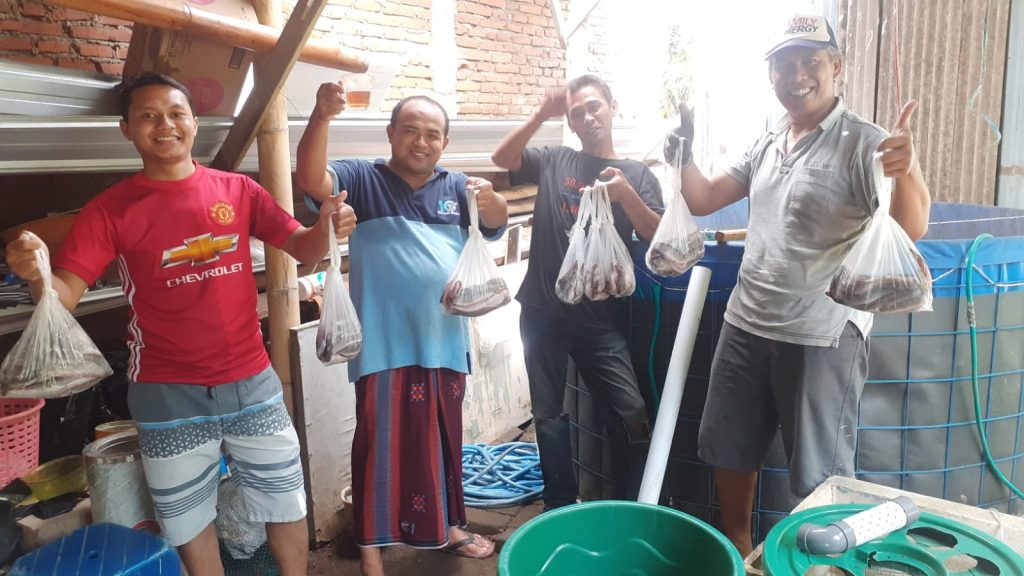 Warga Merjosari Malang Memanen Lele dari Program Budidaya Kolam Terpal