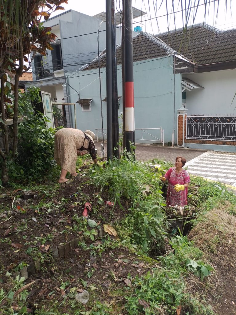 Urban Farming: Solusi untuk Mengatasi Sampah dan Meningkatkan Ketahanan Pangan